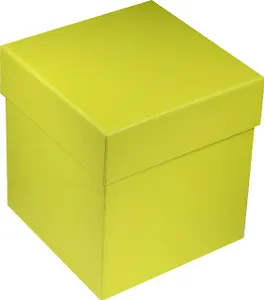 Коробка подарочная "Неон зеленая" 10*10*11см