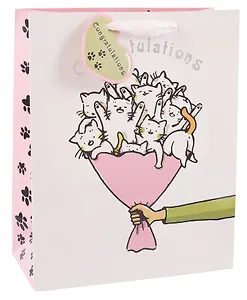 Пакет А4 32*26*12 "Котики. Congratulations" нейтр., бум.мат.ламинат