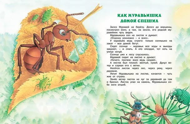 Книга Как муравьишка домой спешил (Виталий Бианки) — 3
