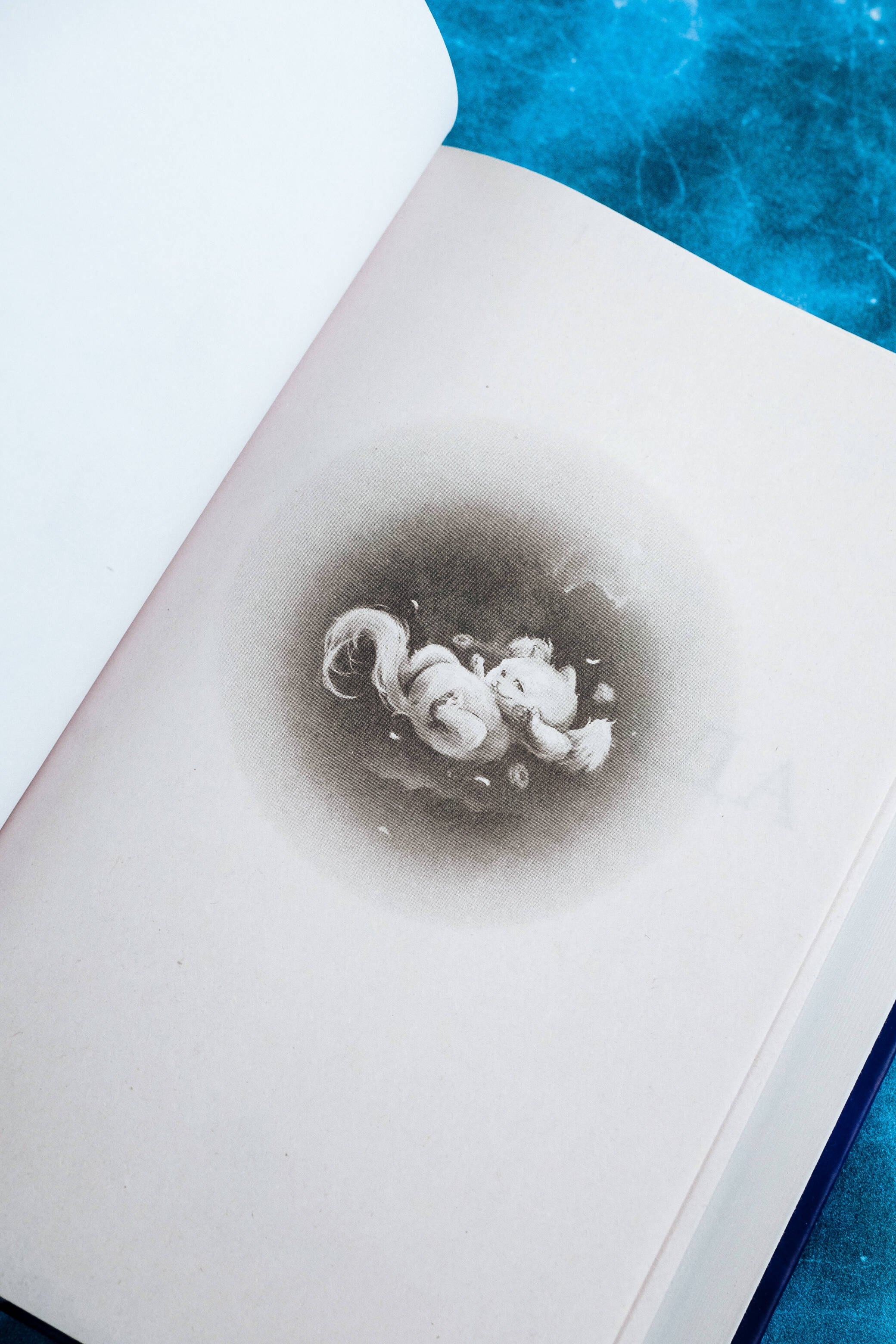 Изображение бумажной книги