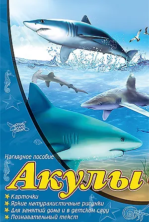 Книга Акулы: набор карточек (Виктория Гетцель) — 1