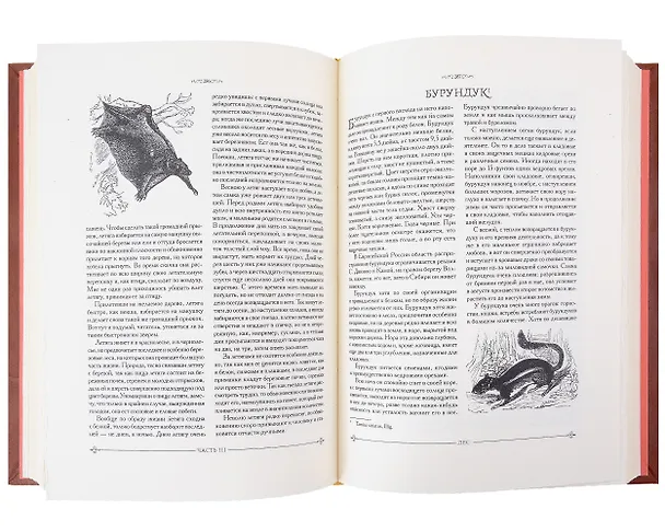 Книга Охота в России во всех ее видах. Иллюстрированная энциклопедия. Лимитированный тираж в кожаном переплете ручной работы. Цифра. (Михаил Вавилов) — 6