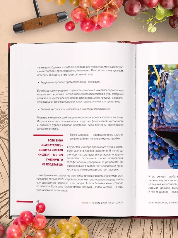 Книга Домашнее виноделие от А до Я: виноградное вино. Пошаговое руководство (Евгений Богачев) — 11