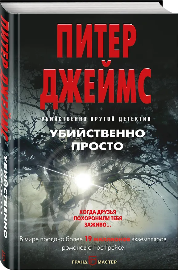 Книга Убийственно просто (Питер Джеймс) — 4