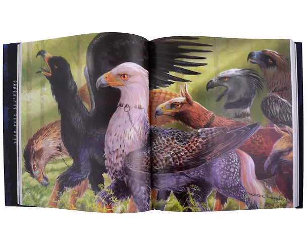 Книга Комплект Harry Potter : The illustrated collection (3 книги в футляре) (Джоан Кэтлин Роулинг) — 4