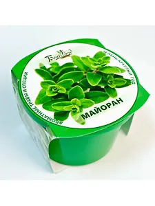 Набор для выращивания "Зелень круглый год" Майоран (411890)