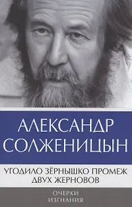 Угодило зернышко промеж двух жерновов: Очерки изгнания