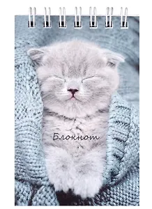 Блокнот А7 60л кл. "Друзья!" гребень, мел.картон, твин-лак, ассорти