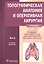 Топографическая анатомия и оперативная хирургия: учебник. Том 2 — 2830621 — 1