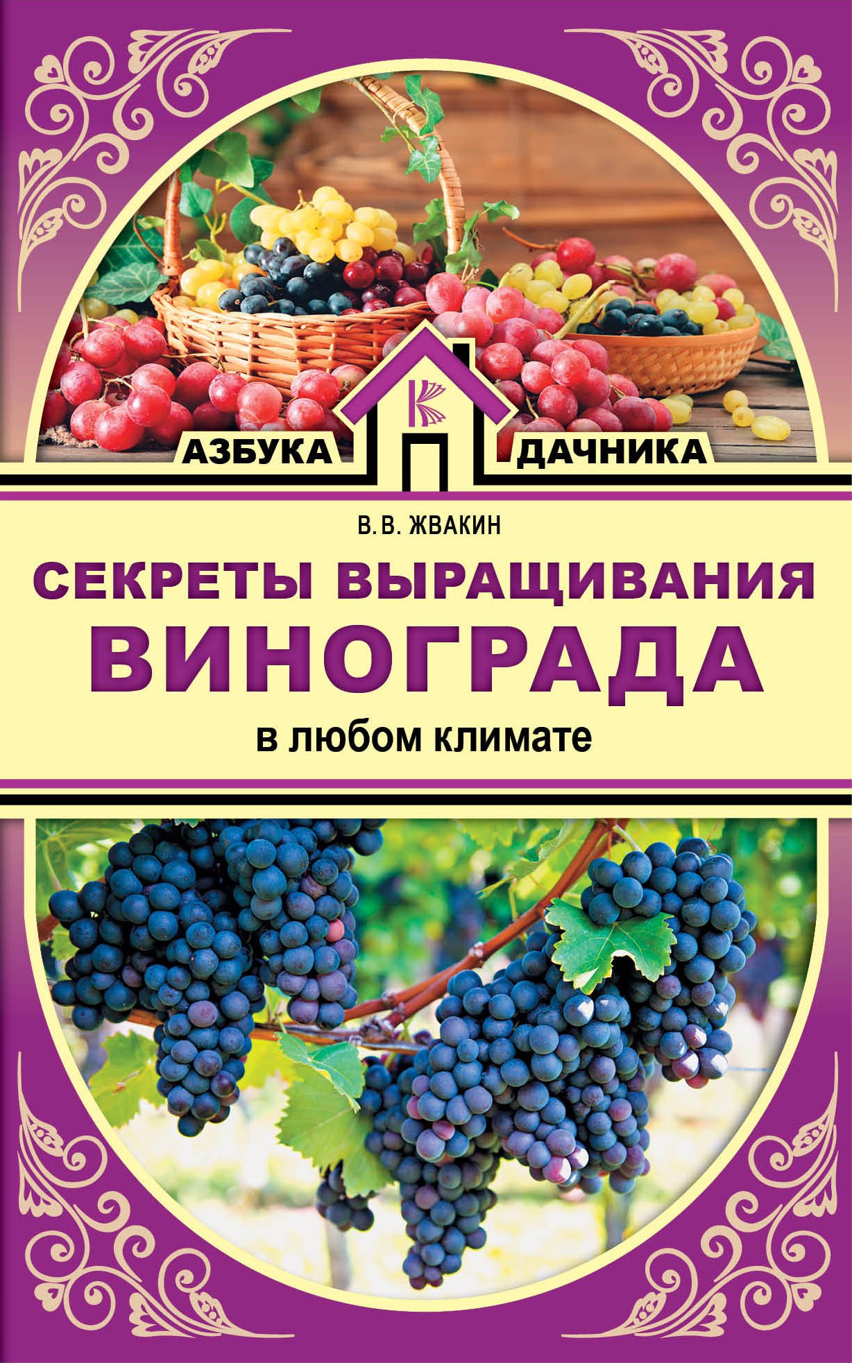 

Секреты выращивания винограда в любом климате