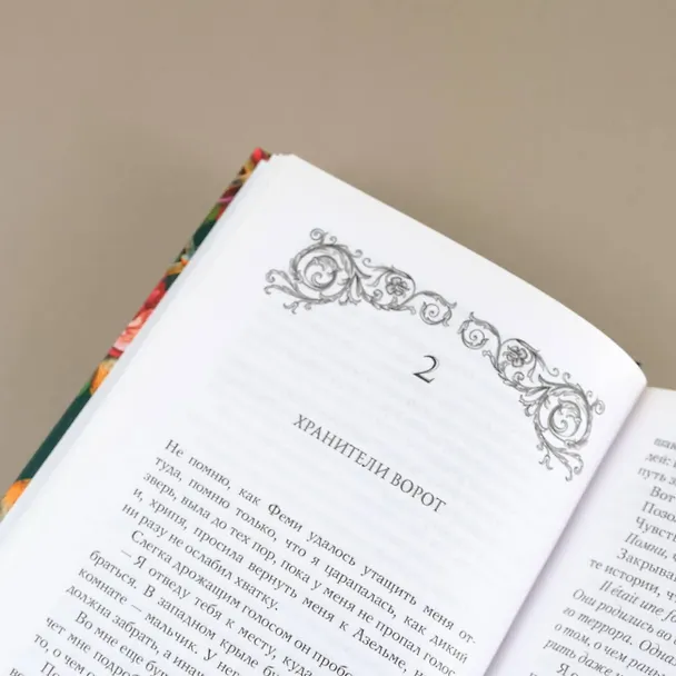 Книга Двор чудес (Кестер Грант) — 9