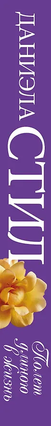 Книга Полет длиною в жизнь (Даниэла Стил) — 3