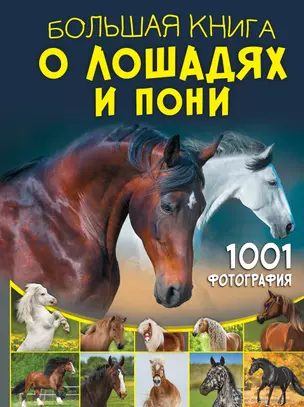 Большая книга о лошадях и пони. 1001 фотография — 3072688 — 1