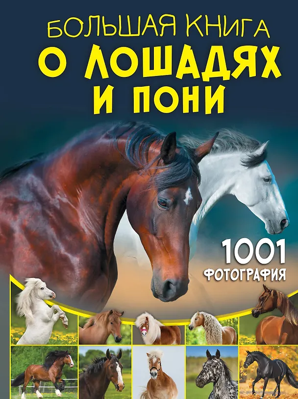 Книга Большая книга о лошадях и пони. 1001 фотография (Анна Спектор) — 1