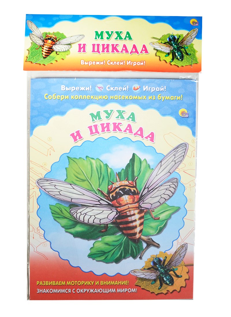 

Муха. Цикада