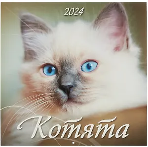 Календарь 2024г 285*285 "Котята" настенный, на скрепке