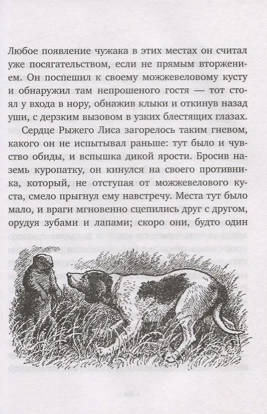 Книга Рыжий Лис (Чарлз Робертс) — 5