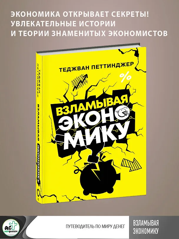 Книга Взламывая экономику (Теджван Петтинджер) — 5