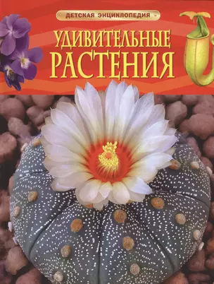 Удивительные растения — 2522622 — 1