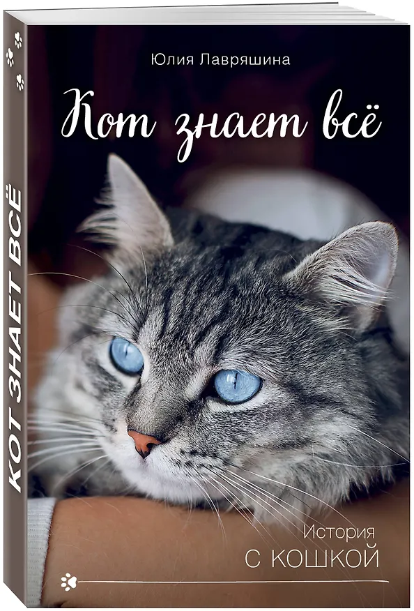 Книга Кот знает всё (Юлия Лавряшина) — 4