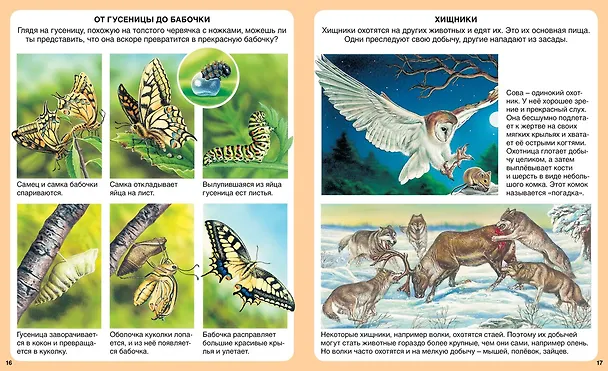Книга Загадки природы (Эмили Бомон, Мари-Рене Гийоре) — 4