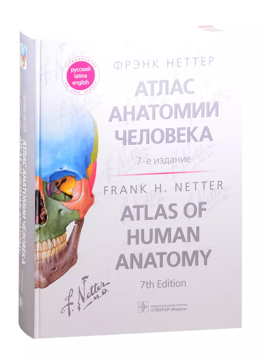 Атлас анатомии человека: терминология на русском, латинском и английском  языках (Фрэнк Генри Неттер) - купить книгу с доставкой в интернет-магазине  «Читай-город». ISBN: 978-5-9704-6051-1