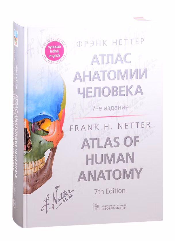 Книга Атлас анатомии человека: терминология на русском, латинском и английском языках (Фрэнк Генри Неттер) — 1