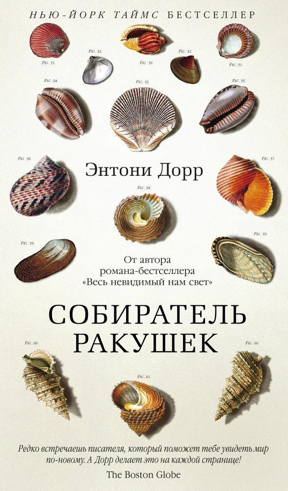 

Собиратель ракушек