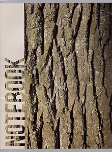 Тетрадь в клетку Listoff, Wood Texture, А4, 80 листов