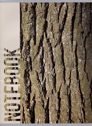 Тетрадь в клетку Listoff, Wood Texture, А4, 80 листов 2973326