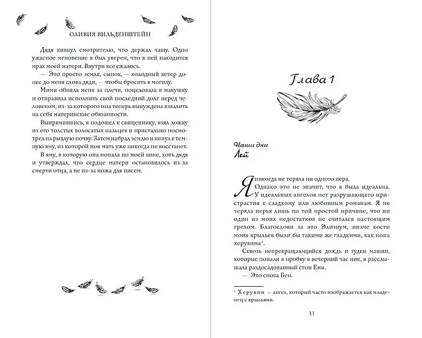 Книга Перья (#1) (Оливия Вильденштейн) — 6