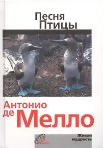 Песня птицы. На русском и английском языке