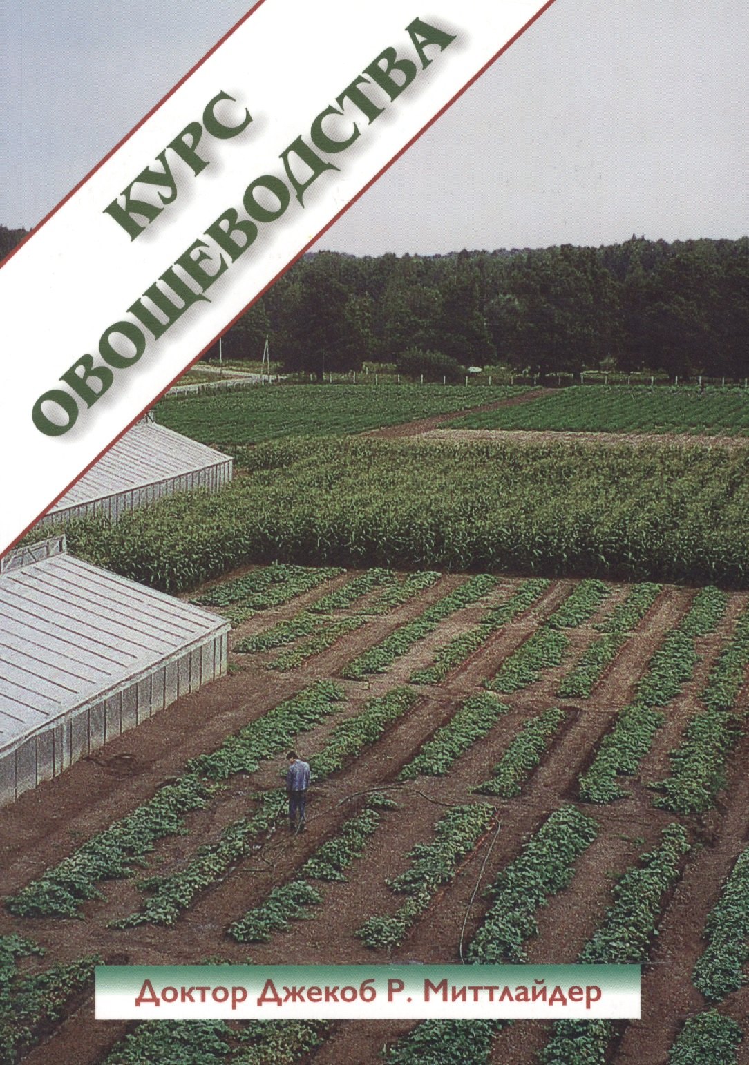 

Английский алфавит и первые слова. IQ-прописи