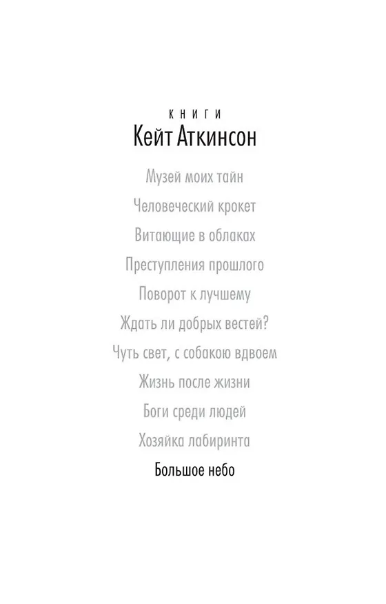Книга Большое небо (Кейт Аткинсон) — 4