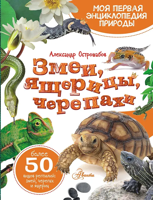 Книга Змеи, ящерицы, черепахи (Александр Острошабов) — 1