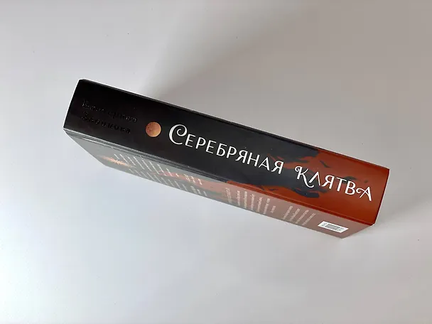 Книга Серебряная клятва (Екатерина Звонцова) — 11