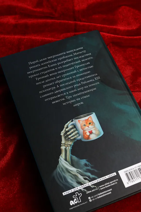 Книга Некроманты и все-все-все (Карина Демина) — 10