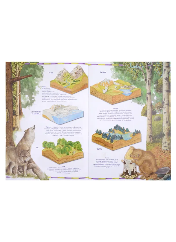Книга Первый атлас для детей. Животные () — 3