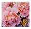Холст с красками по номерам "Пёстрые пионы " 40х40 см, 30 цветов — 3072891 — 1