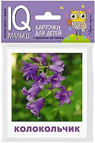 Умный малыш. Что растёт на клумбе?