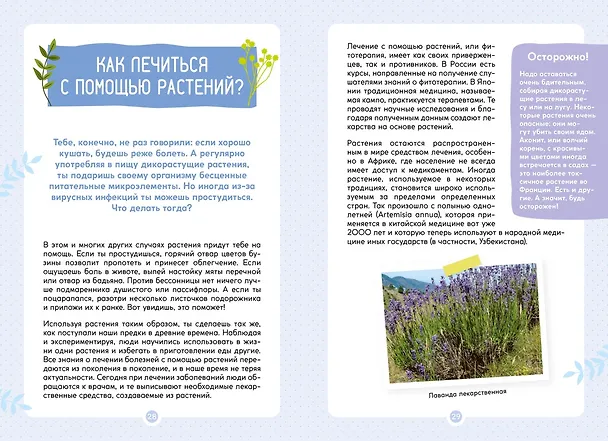 Книга Растения вокруг нас (Роберт Каплан, Франсуа Куплан) — 14