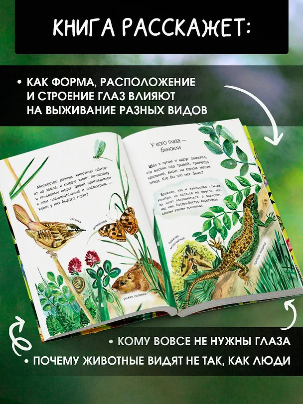 Книга Кто как видит? (Виталий Танасийчук) — 6