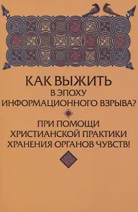 Как выжить в эпоху информационного взрыва? При помощи христианской практики хранения органов чувств!