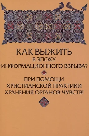 Как выжить в эпоху информационного взрыва? При помощи христианской практики хранения органов чувств! — 2827079 — 1