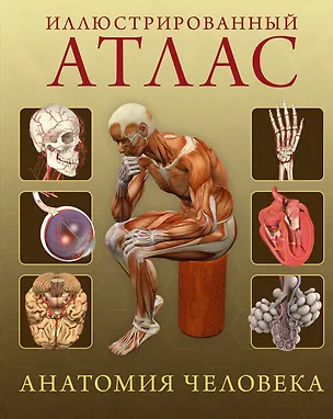 Книга Иллюстрированный атлас. Анатомия человека (Джейми Роубак)