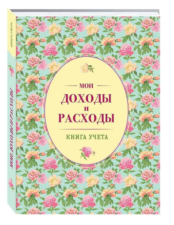 Мои доходы и расходы. Большой CashBook(зеленый) 2535198 — 2
