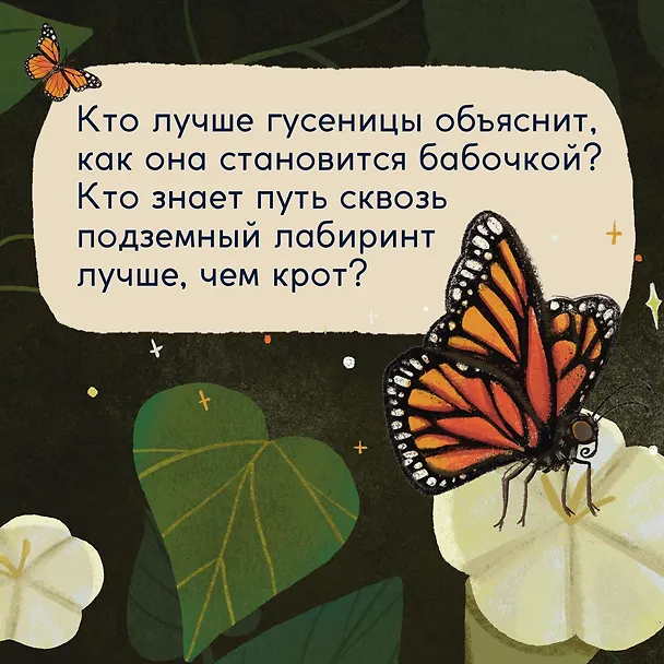 Книга Кто живёт в лесу? Иллюстрированный атлас животных (Алтея Вилла) — 9