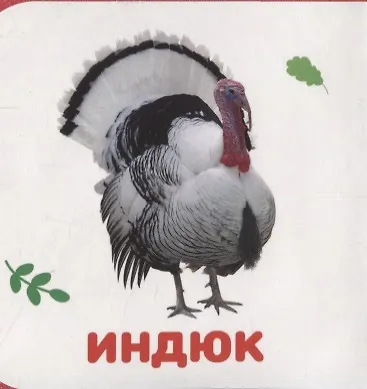Книга Домашние животные () — 3