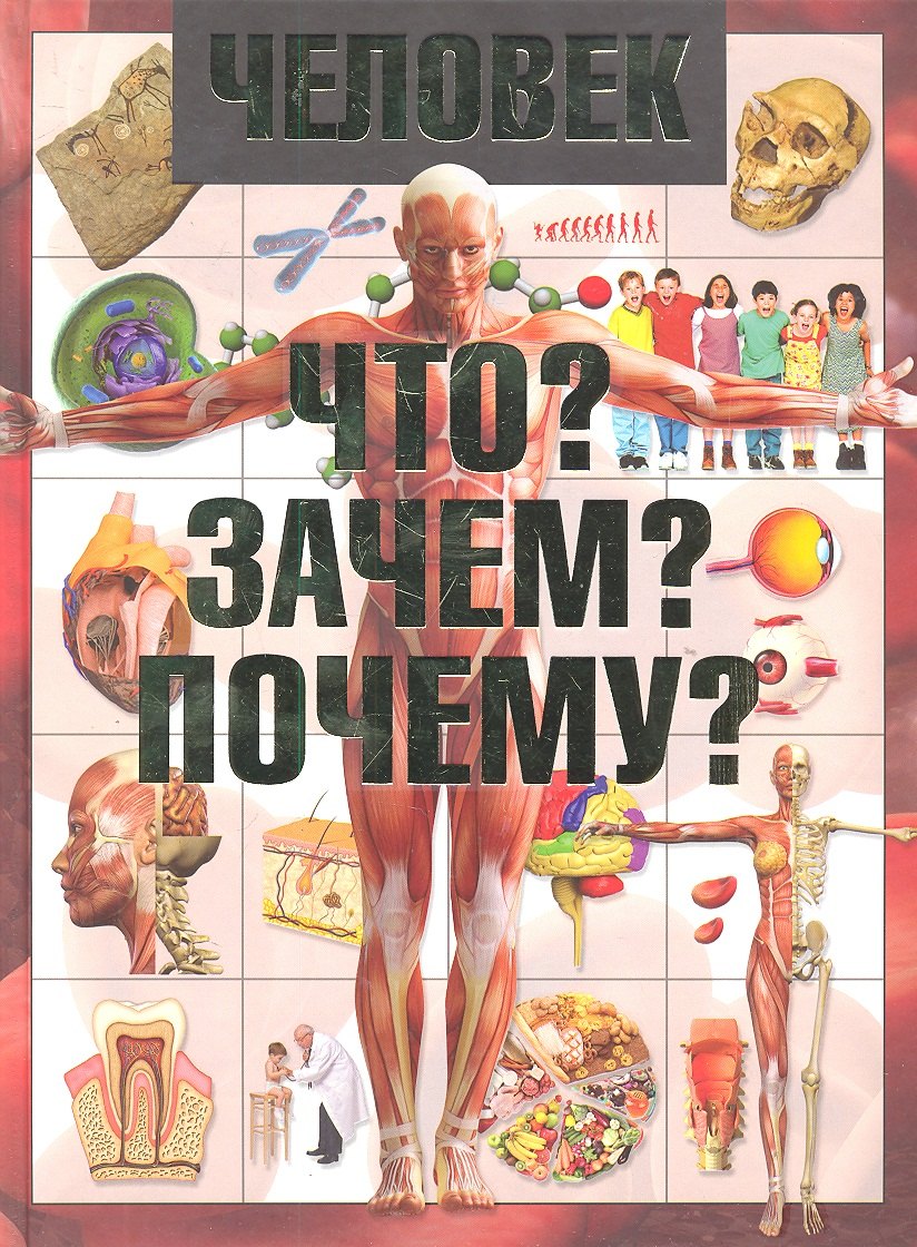 

Человек. Что Зачем Почему