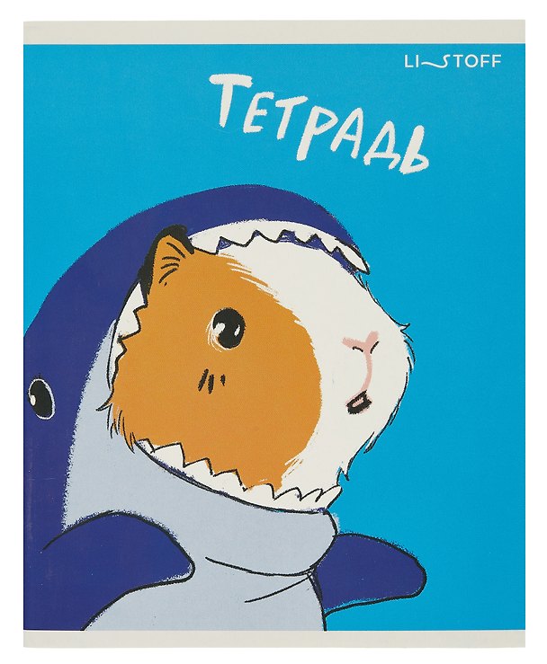 Тетрадь общая «Маскарад (Эксклюзив)», 48 листов в клетку, A5 - Listoff 3010877 — 1